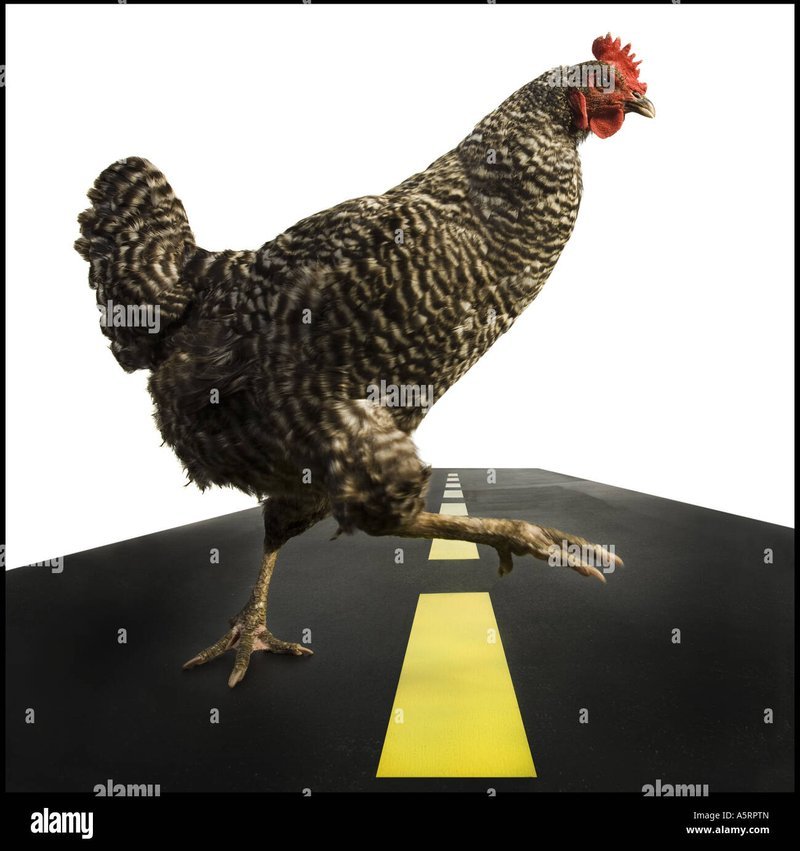 Chicken road deutschland, chicken road demo