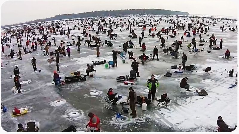 Experience the Thrill of Ice Fishing Casino Games in the UK - overview